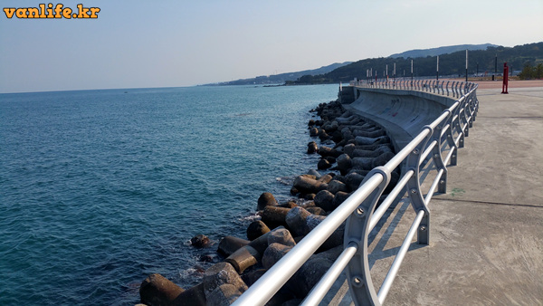 감포벵에돔