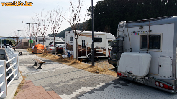 지세포