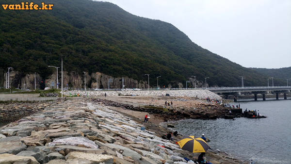 신시도 낚시