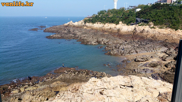 군산 비응항 낚시