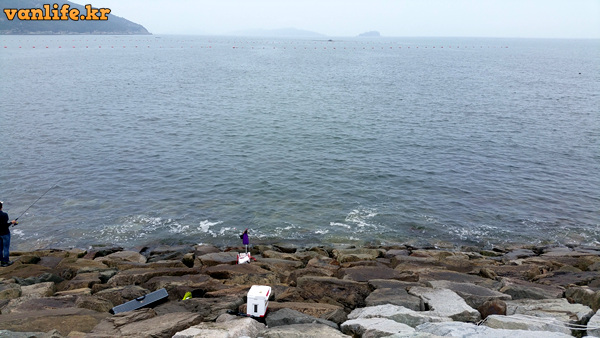 군산 고등어 낚시